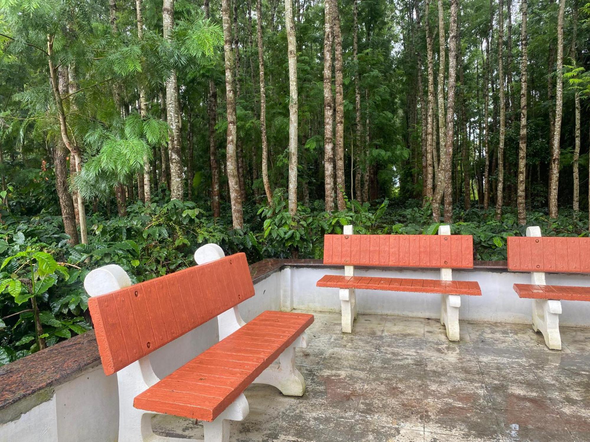 Bougain Villa Chikmagalūr Екстериор снимка